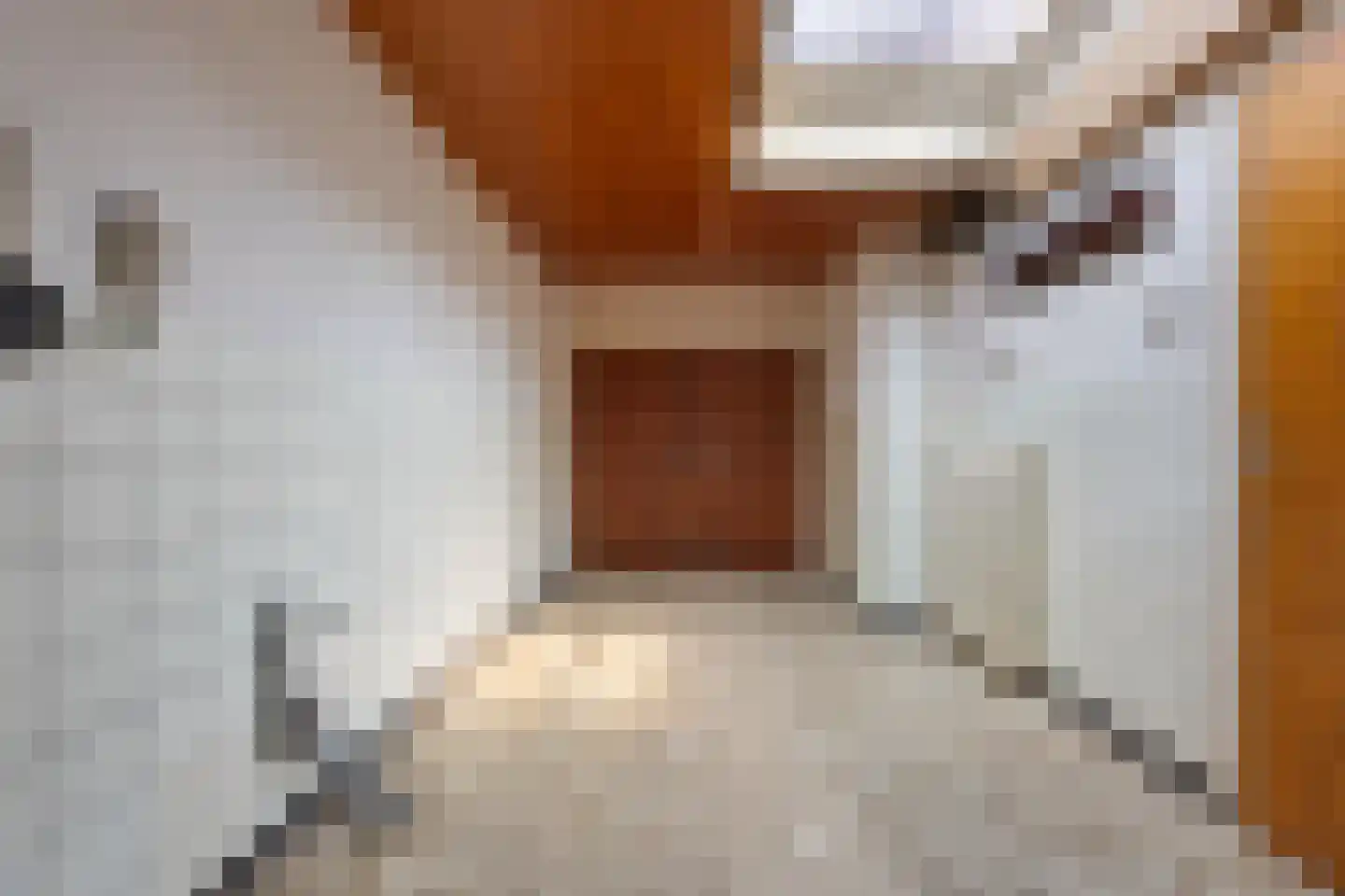 Fuut 56 Zoeterwoude thumbnail 11