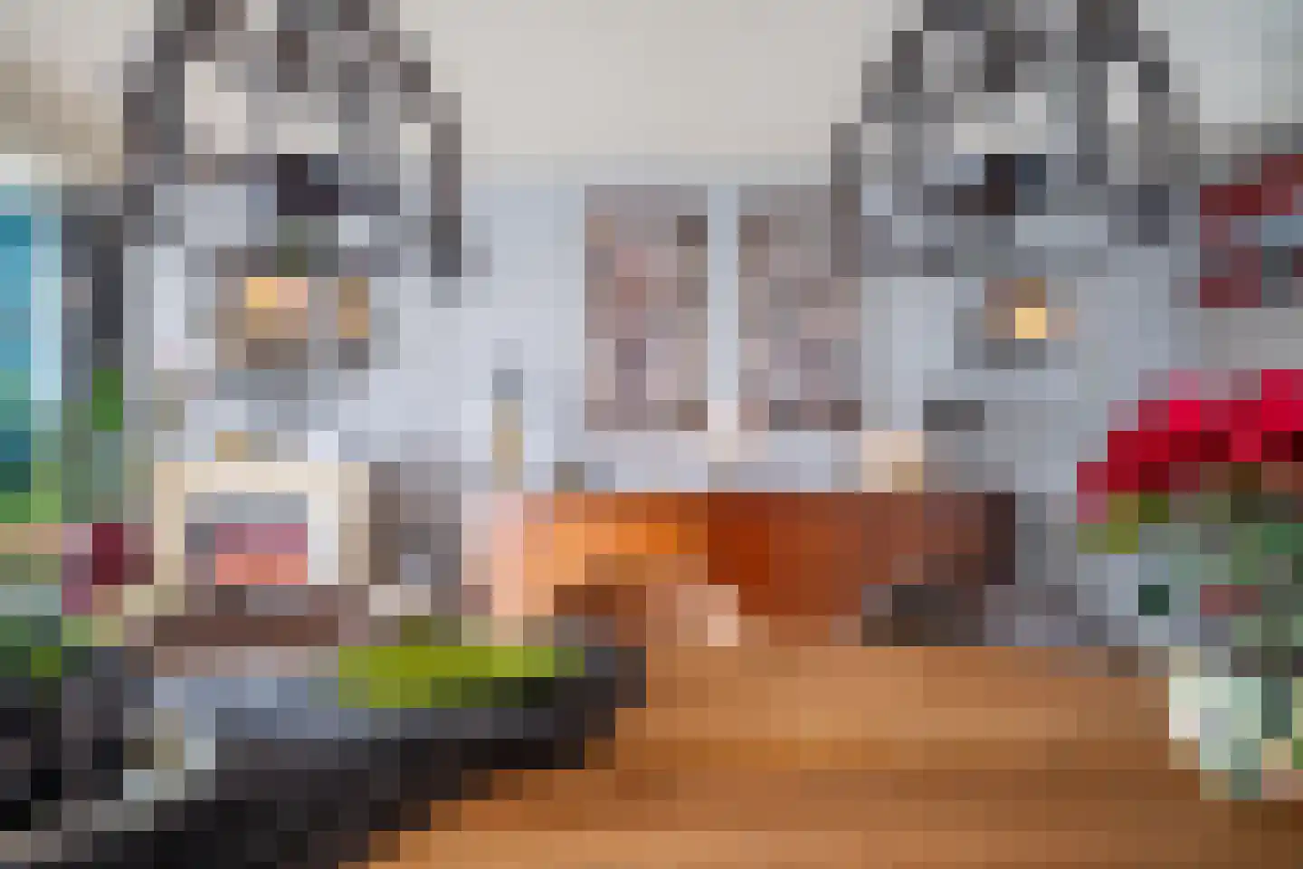 Fuut 56 Zoeterwoude thumbnail 14