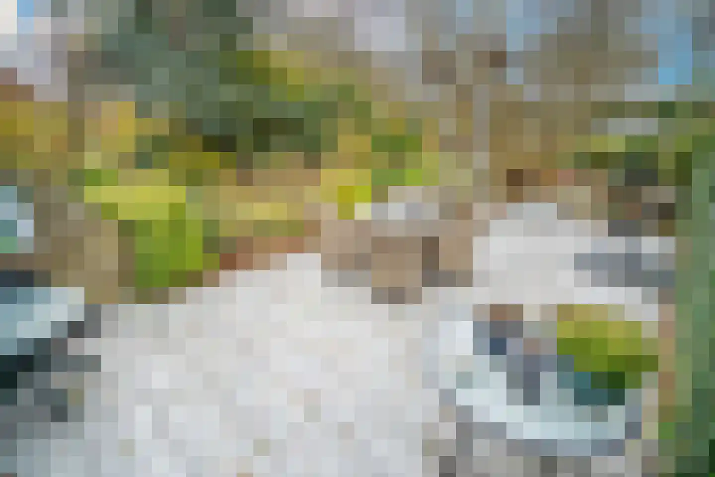 Fuut 56 Zoeterwoude thumbnail 16