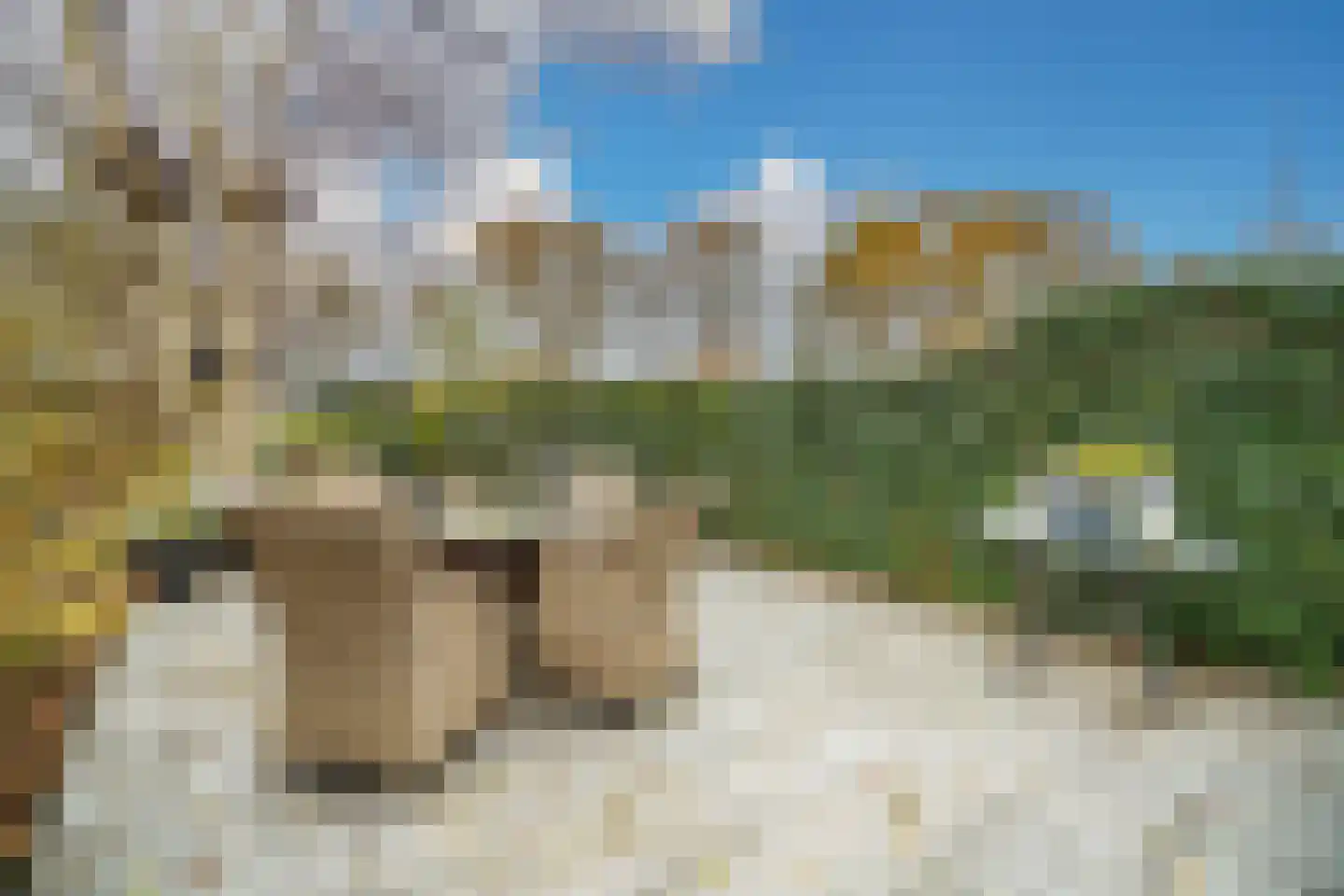 Fuut 56 Zoeterwoude thumbnail 17
