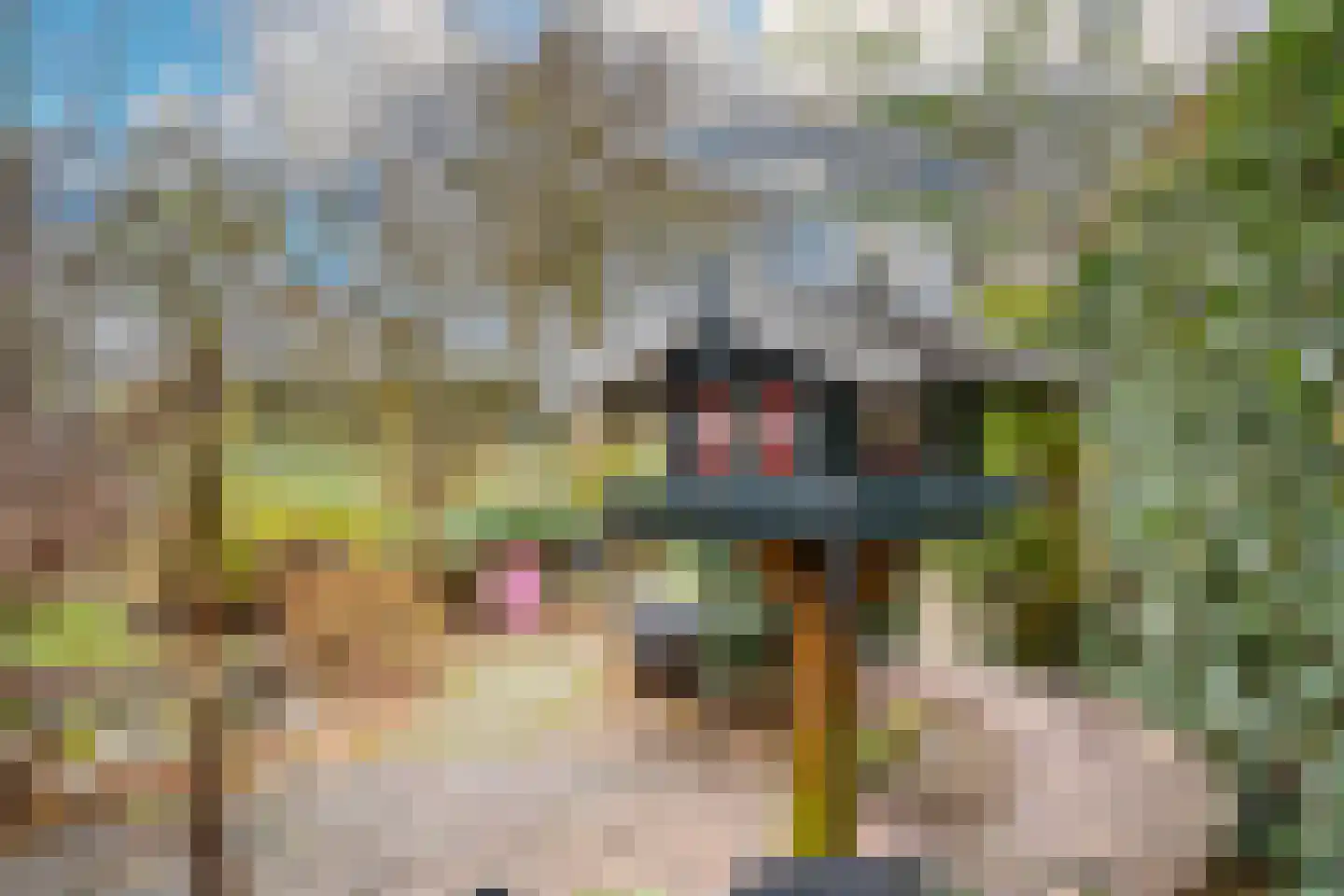 Fuut 56 Zoeterwoude thumbnail 19
