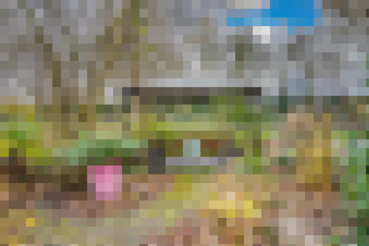 Fuut 56 Zoeterwoude thumbnail 20