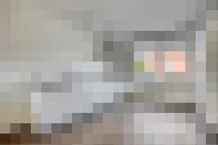 Fuut 56 Zoeterwoude thumbnail 23