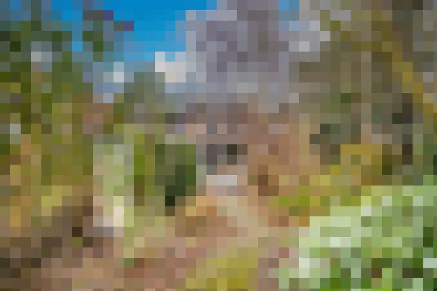 Fuut 56 Zoeterwoude thumbnail 23