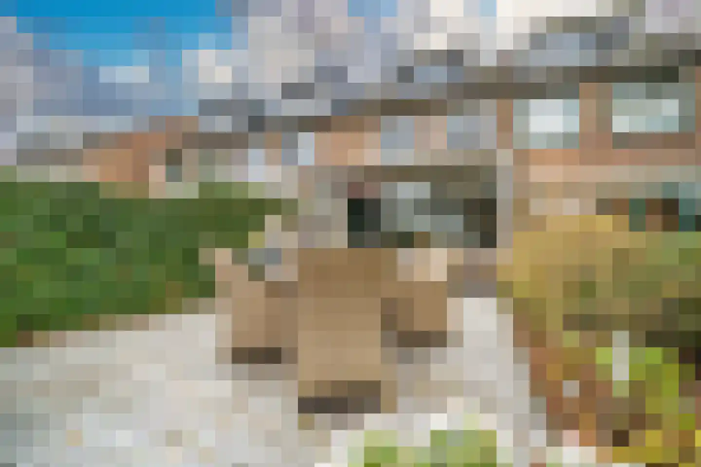 Fuut 56 Zoeterwoude thumbnail 24