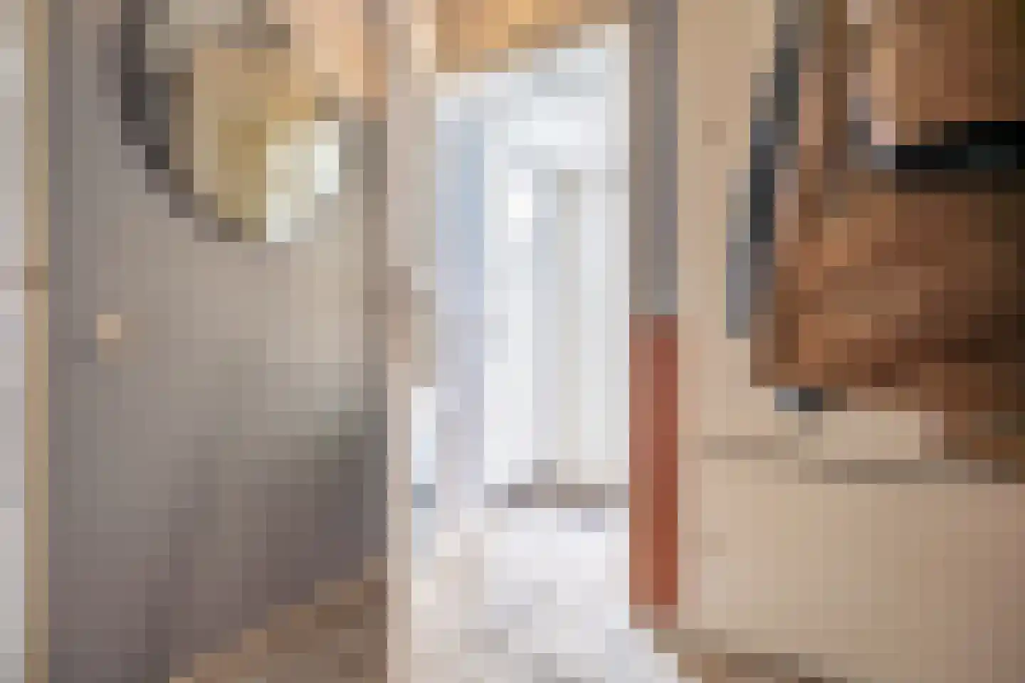 Fuut 56 Zoeterwoude thumbnail 30
