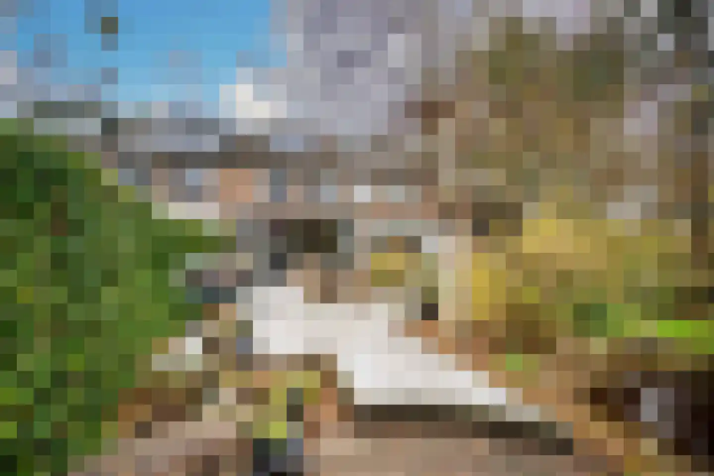 Fuut 56 Zoeterwoude thumbnail 4