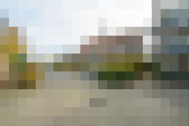 Fuut 56 Zoeterwoude thumbnail 45