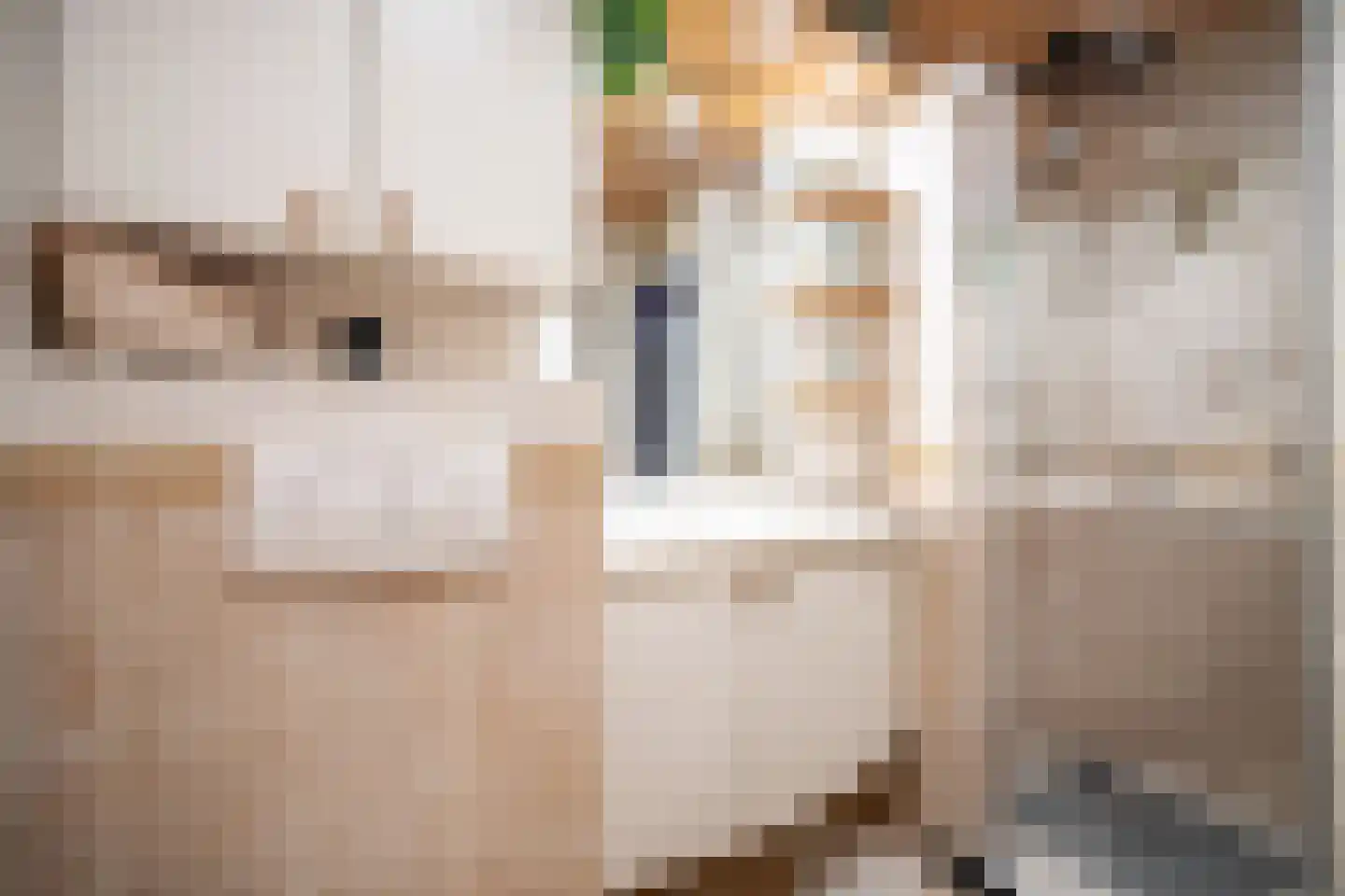 Fuut 56 Zoeterwoude thumbnail 45