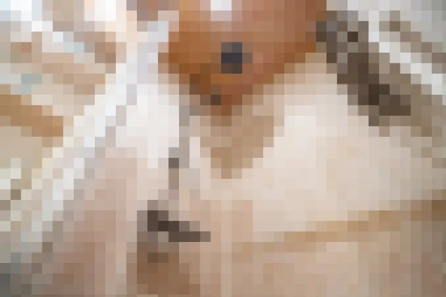 Fuut 56 Zoeterwoude thumbnail 46
