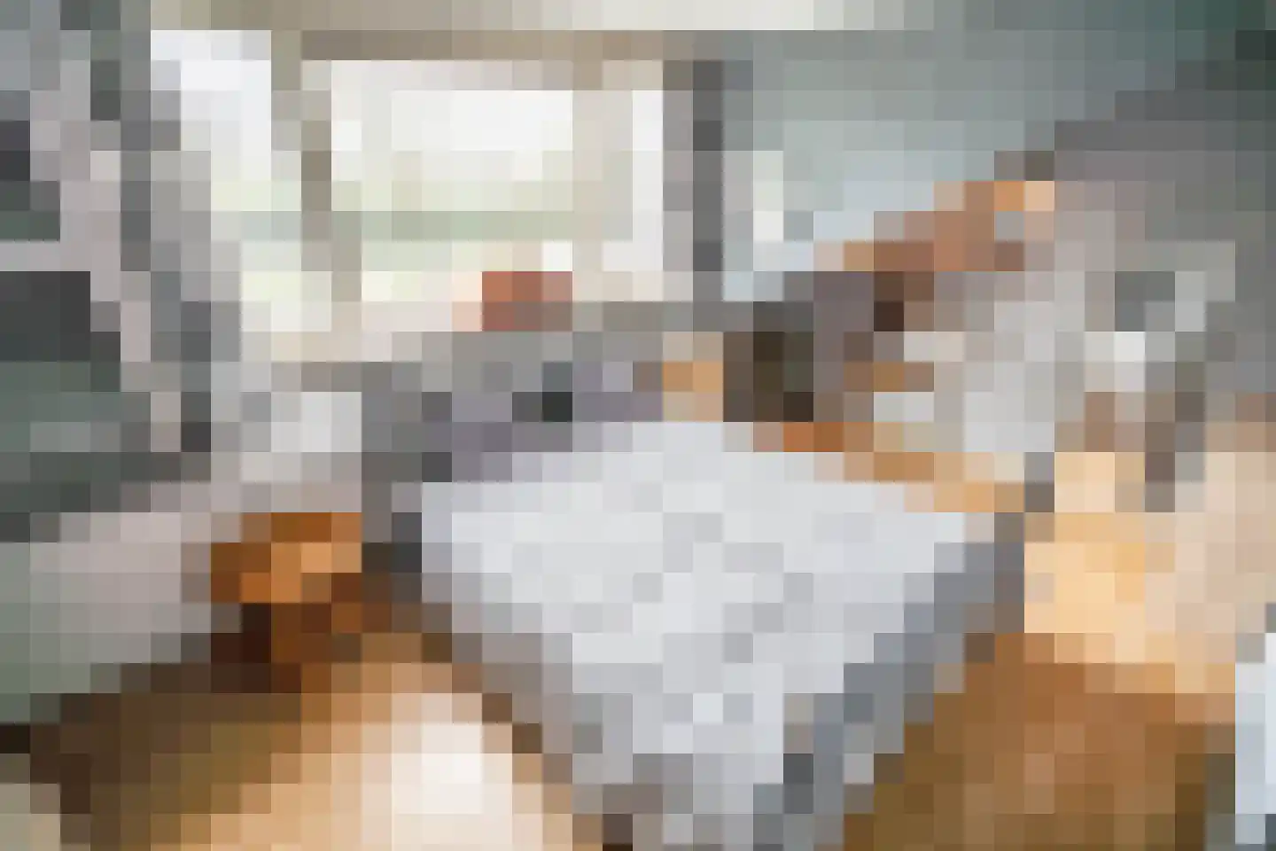 Fuut 56 Zoeterwoude thumbnail 51