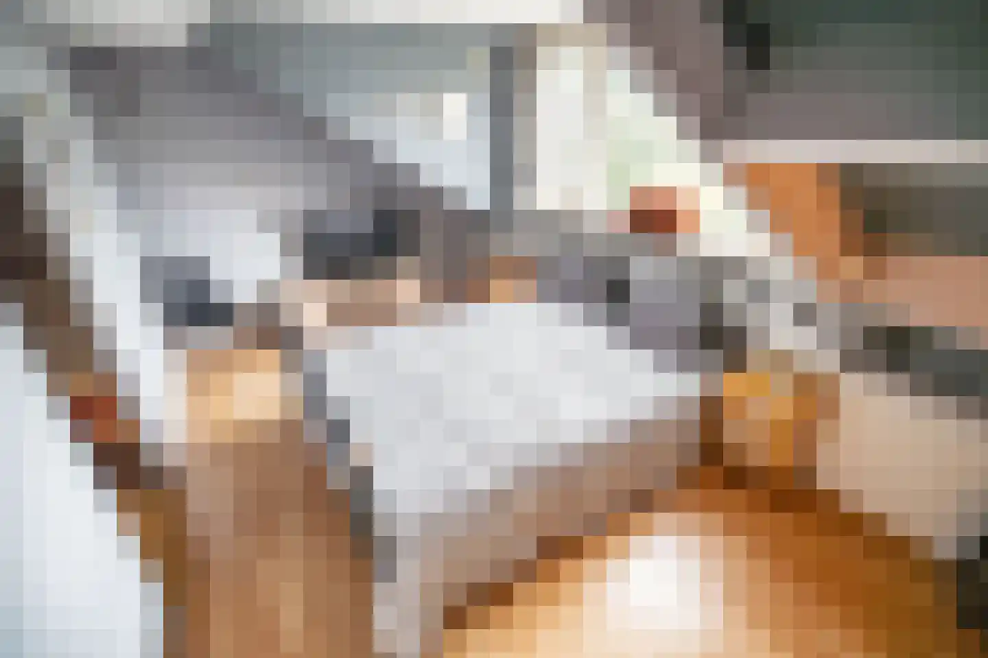 Fuut 56 Zoeterwoude thumbnail 54