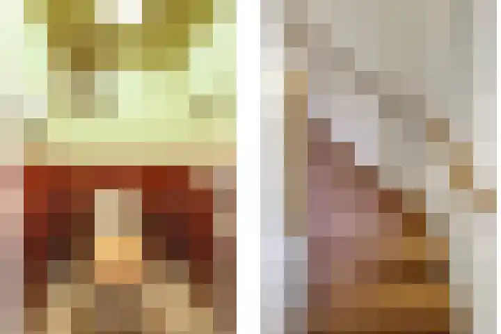 Fuut 56 Zoeterwoude thumbnail 63