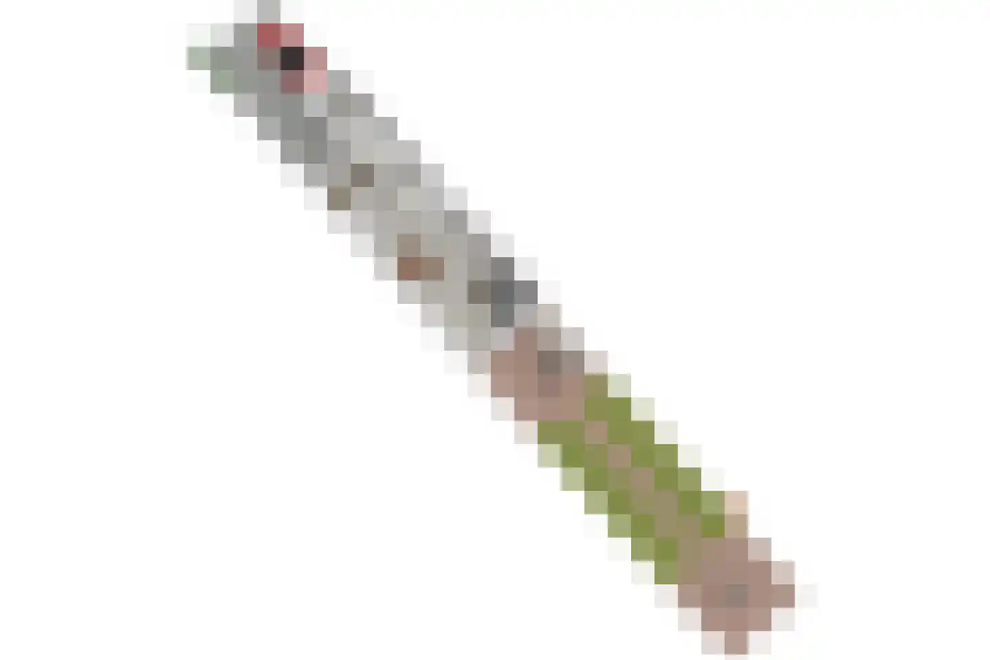 Fuut 56 Zoeterwoude thumbnail 64