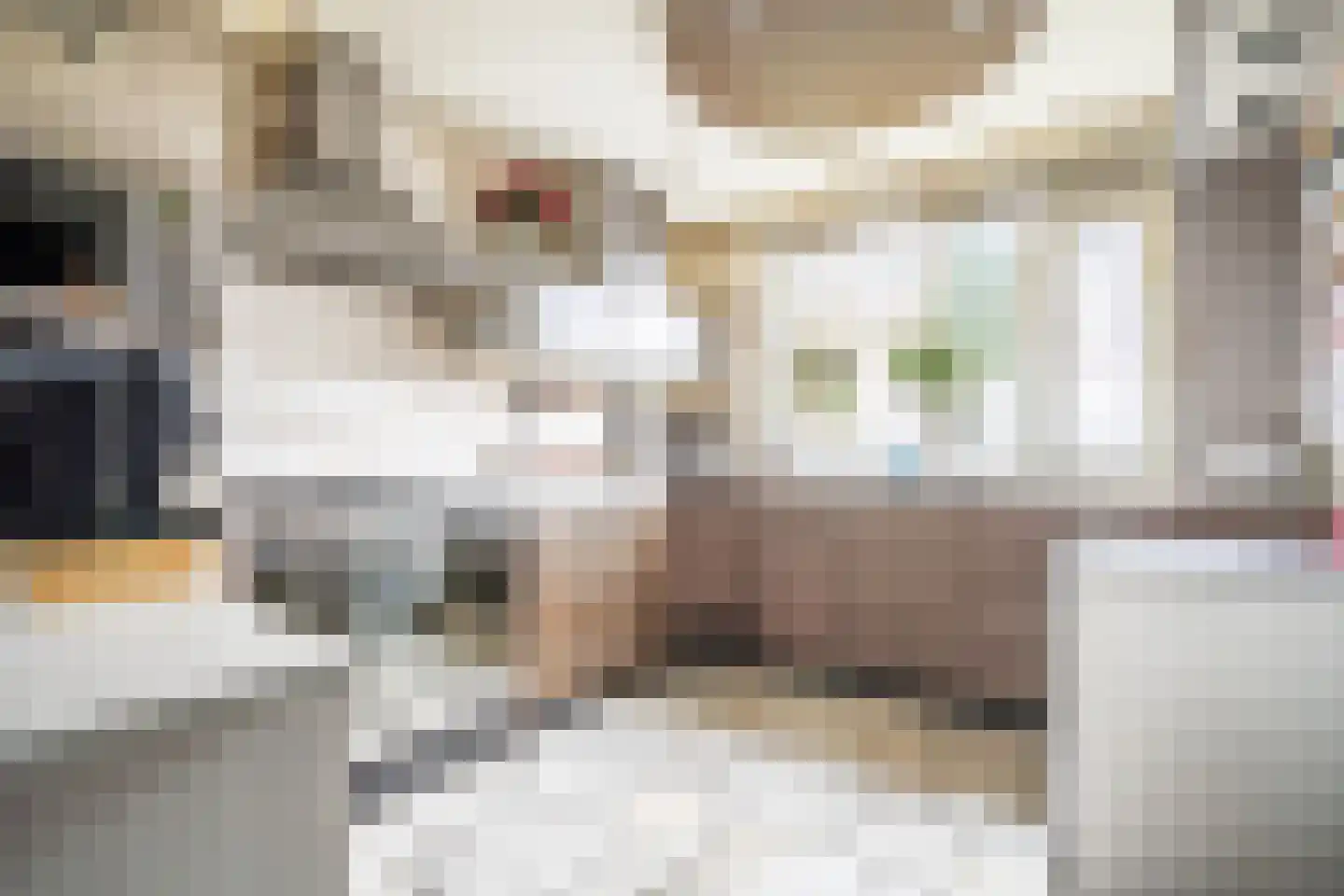 Fuut 56 Zoeterwoude thumbnail 7