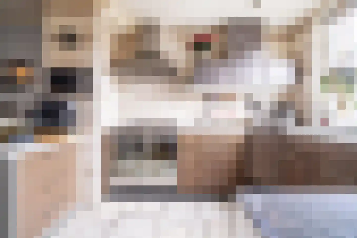 Fuut 56 Zoeterwoude thumbnail 8