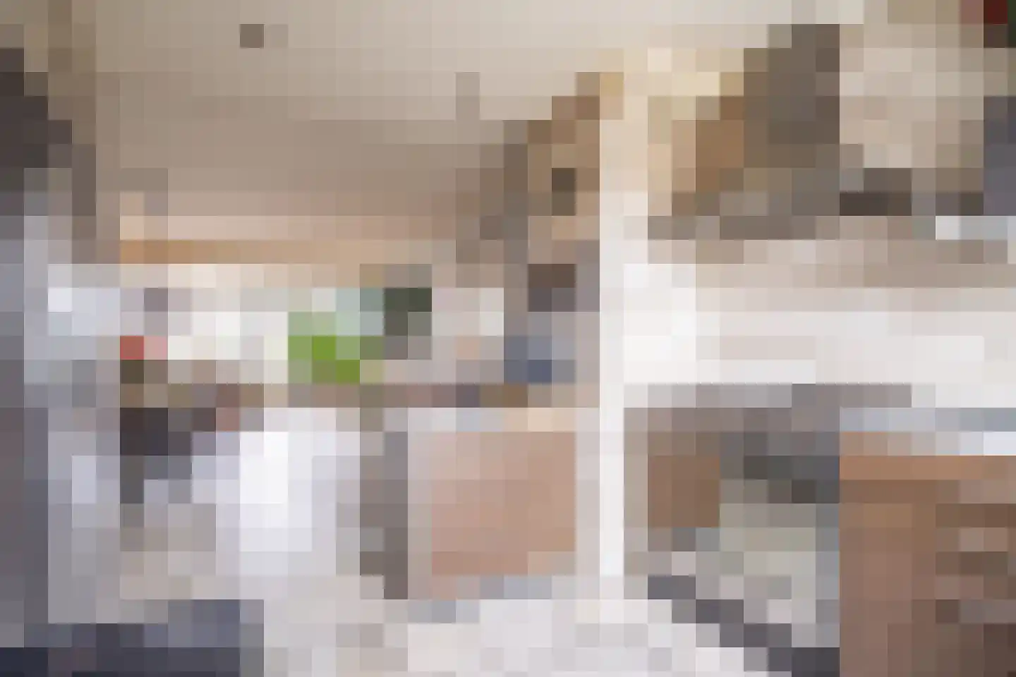 Fuut 56 Zoeterwoude thumbnail 9