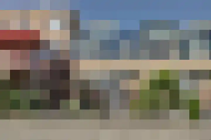 Fuut 7 De Lier foto 2