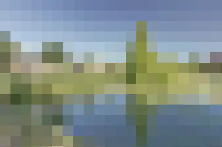 Fuut 7 De Lier thumbnail 29