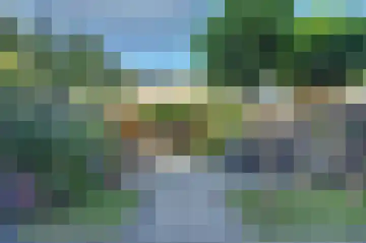 Fuut 7 De Lier foto 3