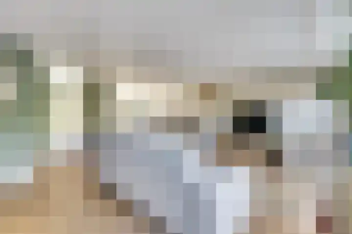 Fuut 7 De Lier thumbnail 9