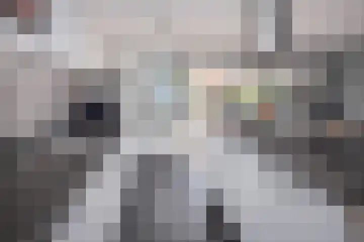 Fuut 8 Grootebroek thumbnail 14