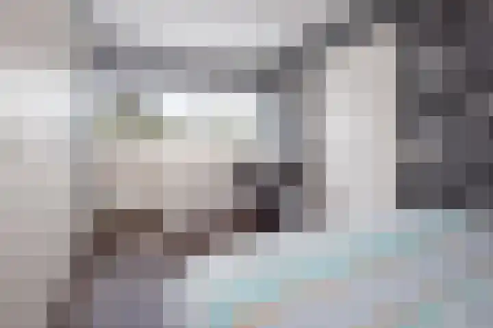 Fuut 8 Grootebroek thumbnail 26