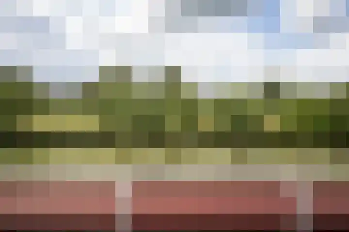 Fuut 8 Grootebroek thumbnail 30