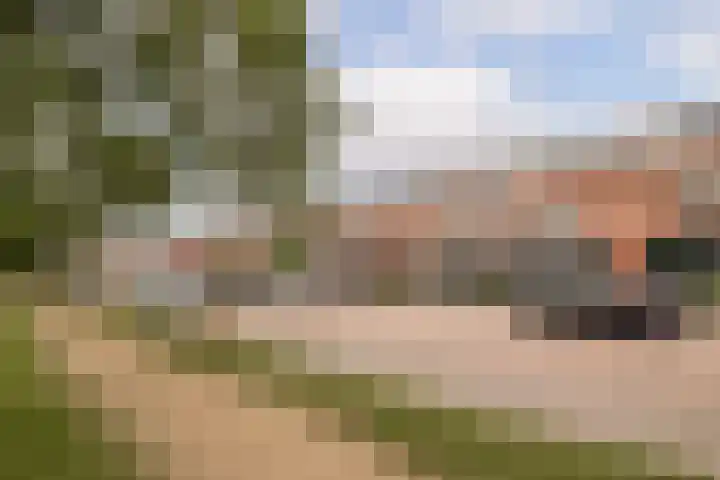 Fuut 8 Grootebroek thumbnail 36