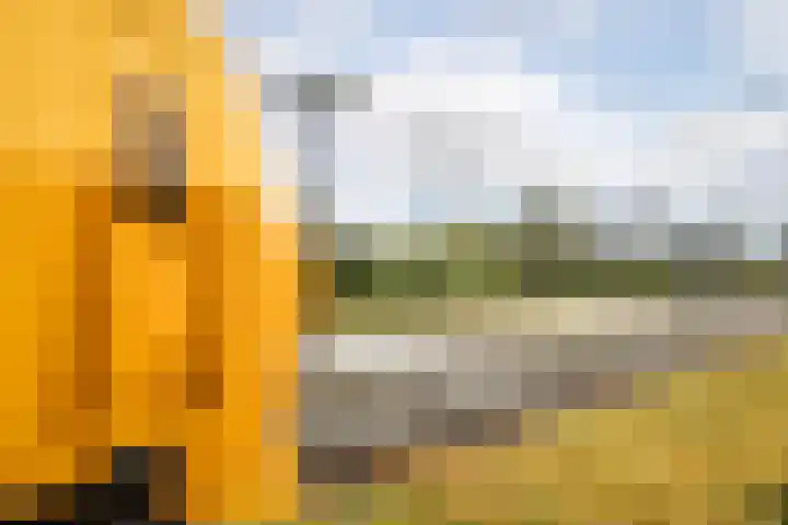 Fuut 8 Grootebroek thumbnail 39