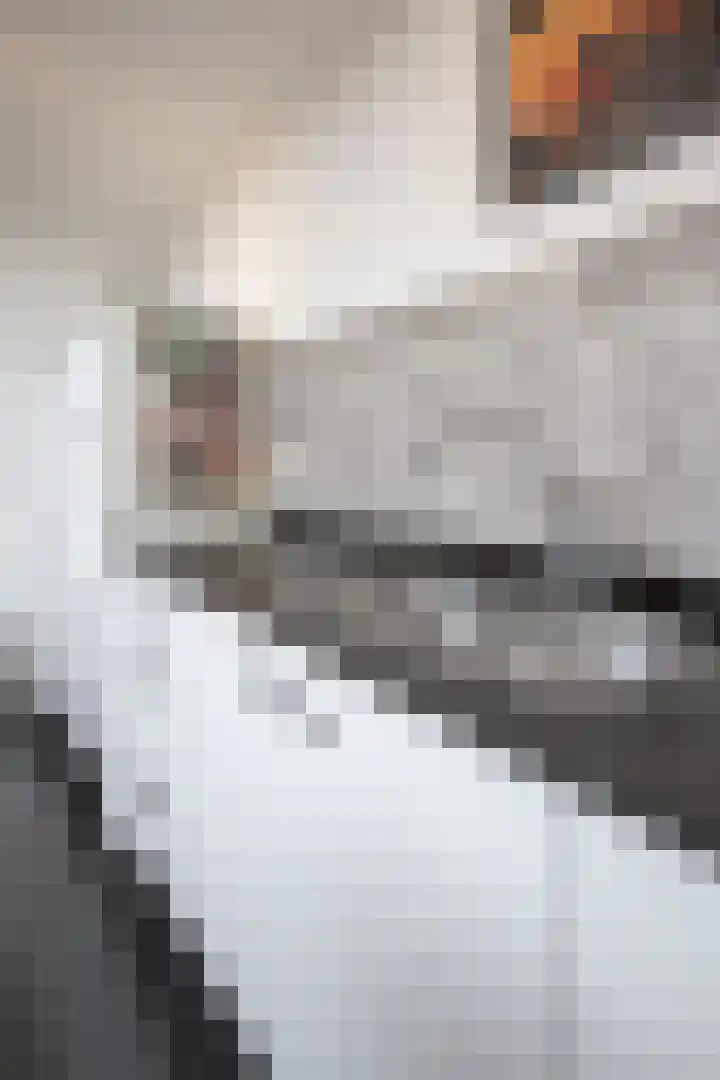 Fuut 8 Grootebroek thumbnail 45