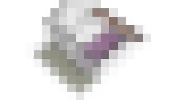 Fuut 8 Grootebroek thumbnail 54