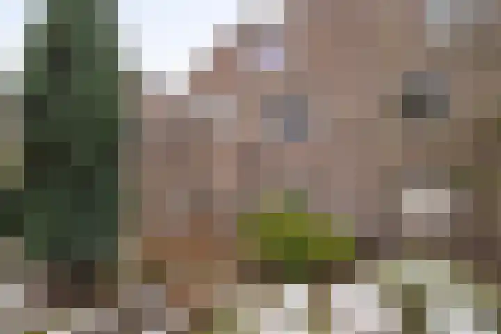 Fuutdonk 2 Veghel