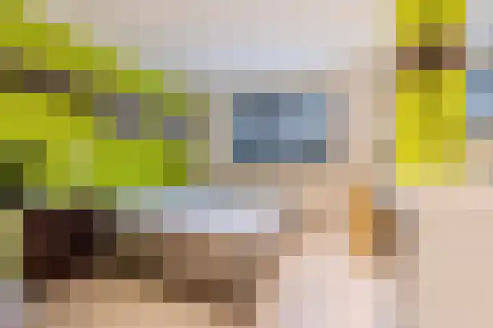 Fuutdonk 24 Veghel thumbnail 26