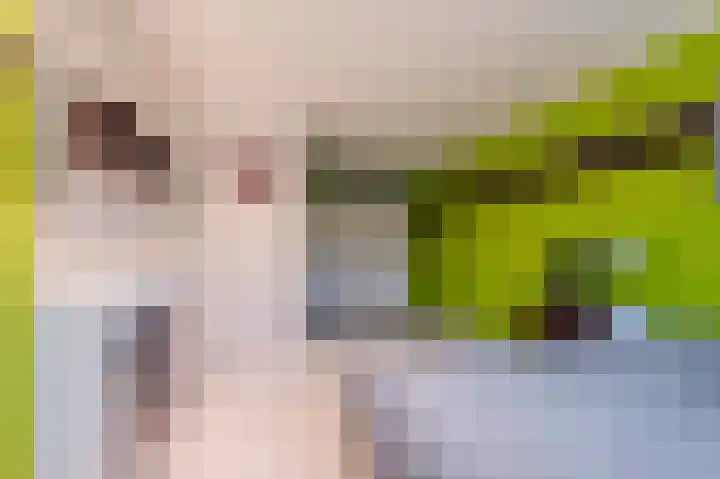 Fuutdonk 24 Veghel thumbnail 27