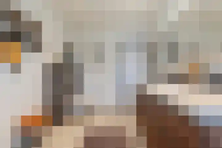 Fuutdonk 24 Veghel thumbnail 32