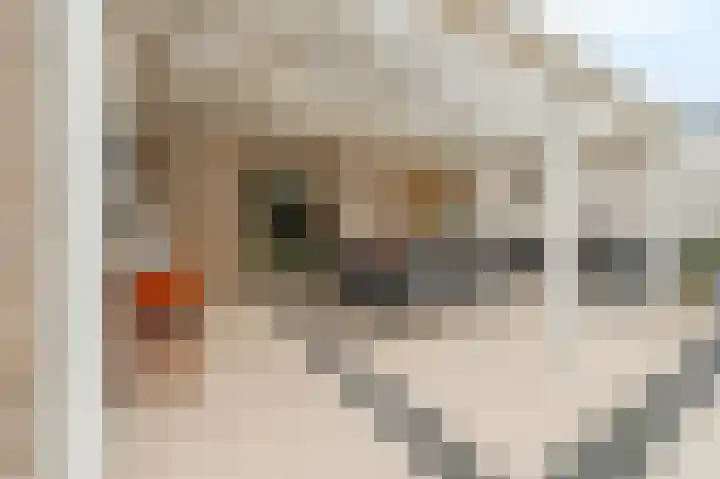 Fuutdonk 24 Veghel thumbnail 40