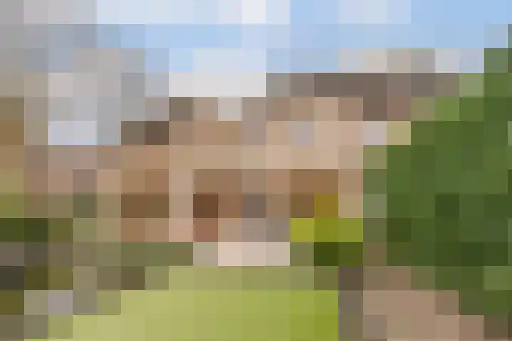 Fuutdonk 24 Veghel thumbnail 42