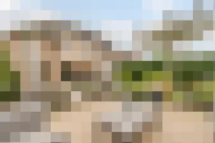Fuutdonk 24 Veghel thumbnail 43