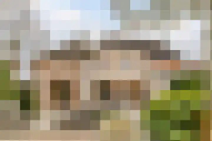 Fuutdonk 24 Veghel thumbnail 45