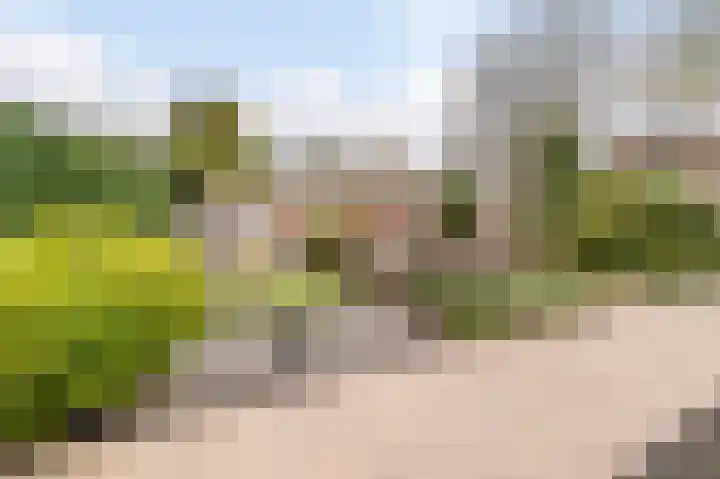 Fuutdonk 24 Veghel thumbnail 48