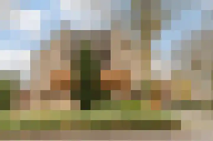 Fuutdonk 24 Veghel thumbnail 49