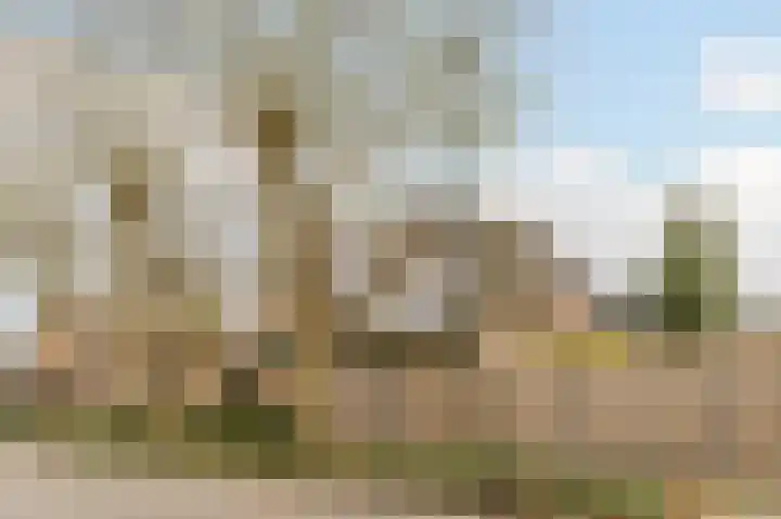 Fuutdonk 24 Veghel thumbnail 50