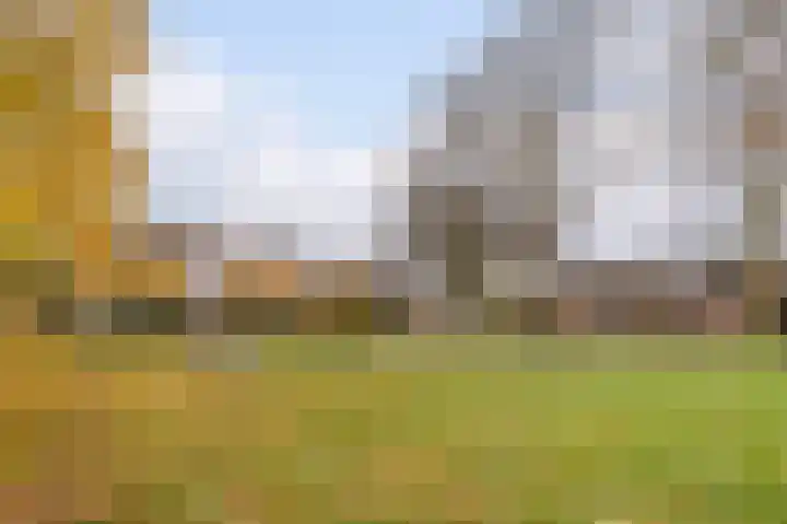 Fuutdonk 24 Veghel thumbnail 51