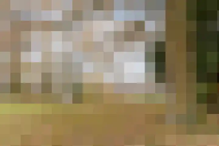 Fuutdonk 24 Veghel thumbnail 53
