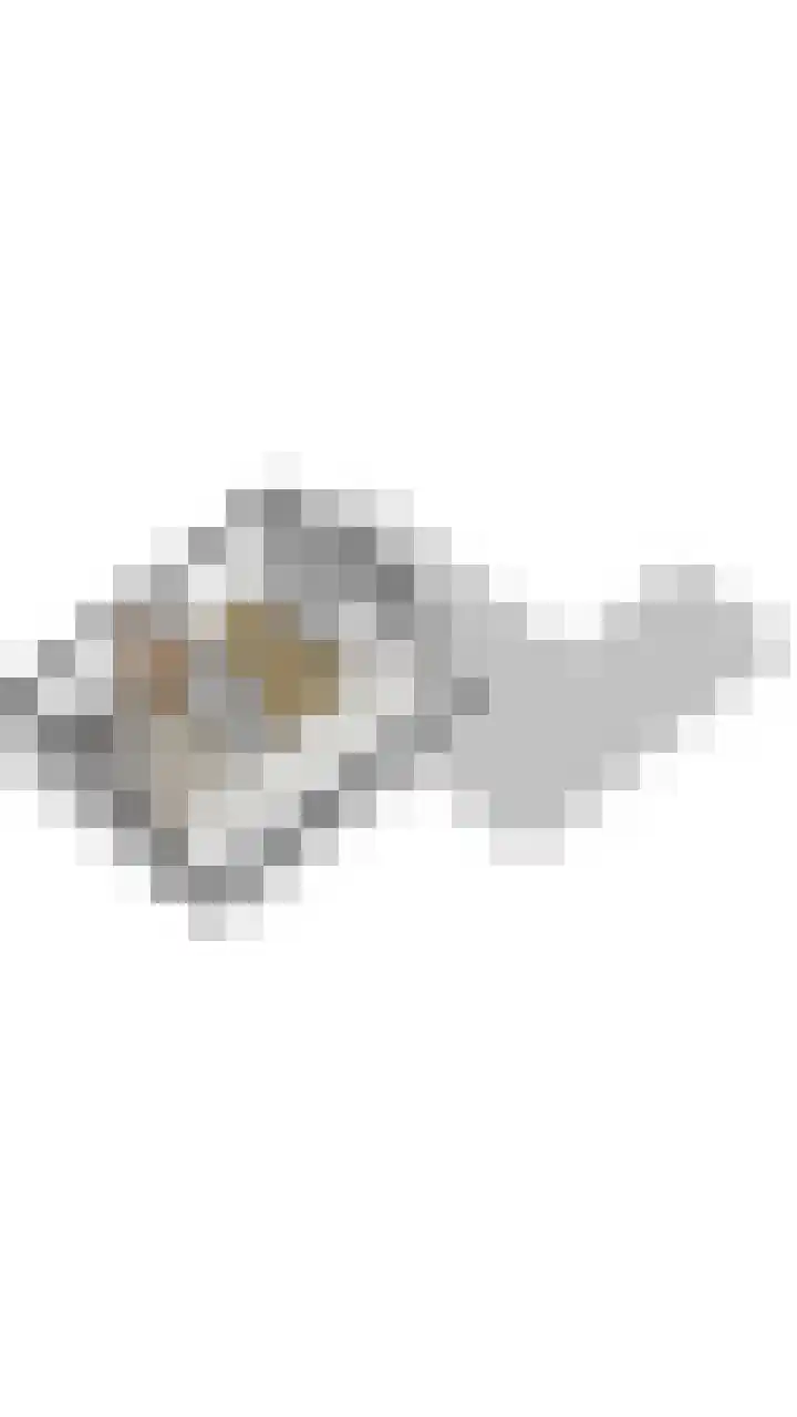 Fuutdonk 24 Veghel thumbnail 62