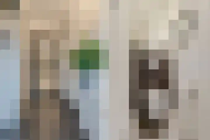 Fuutdonk 24 Veghel thumbnail 8