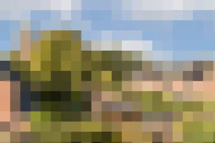 Fuutlaan 3 Aalsmeer thumbnail 24