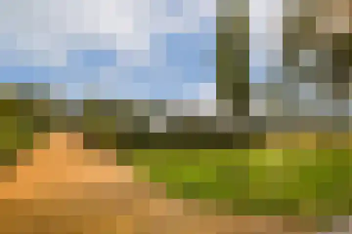 Fuutlaan 3 Aalsmeer thumbnail 28