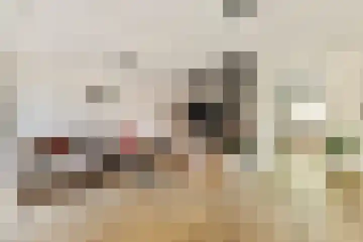Fuutlaan 3 Aalsmeer thumbnail 4